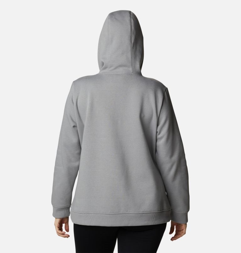 Women's Columbia Logo Hoodie Grey | Plus Size CA-EL64C